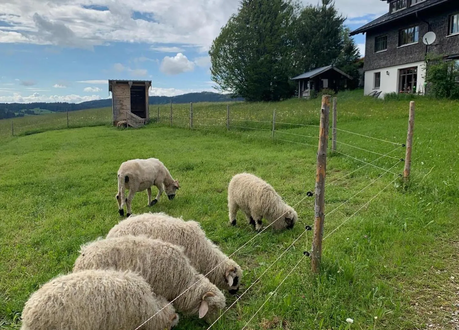 Ferienhof Rindalphorn Mit Sauna In Laendlicher Idylle Missen-Wilhams Germany